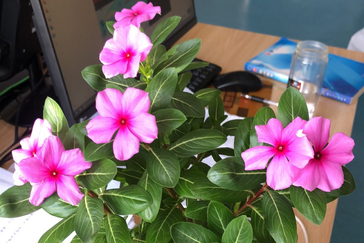 相处不累是最好的关系