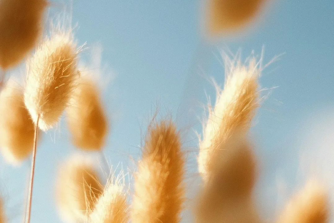 职场中想过得舒心，首先就是不要随便被人支配