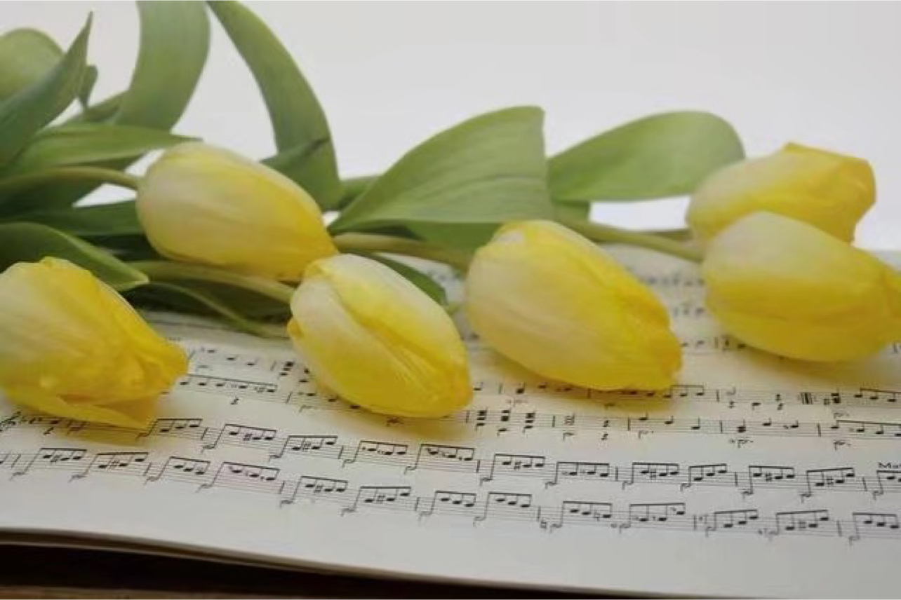 心理咨询中的移情