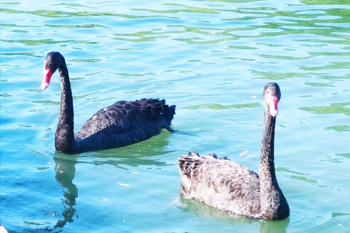 别把老公当“偶像”养！心理咨询师拆穿：这样的爱，早晚会累垮