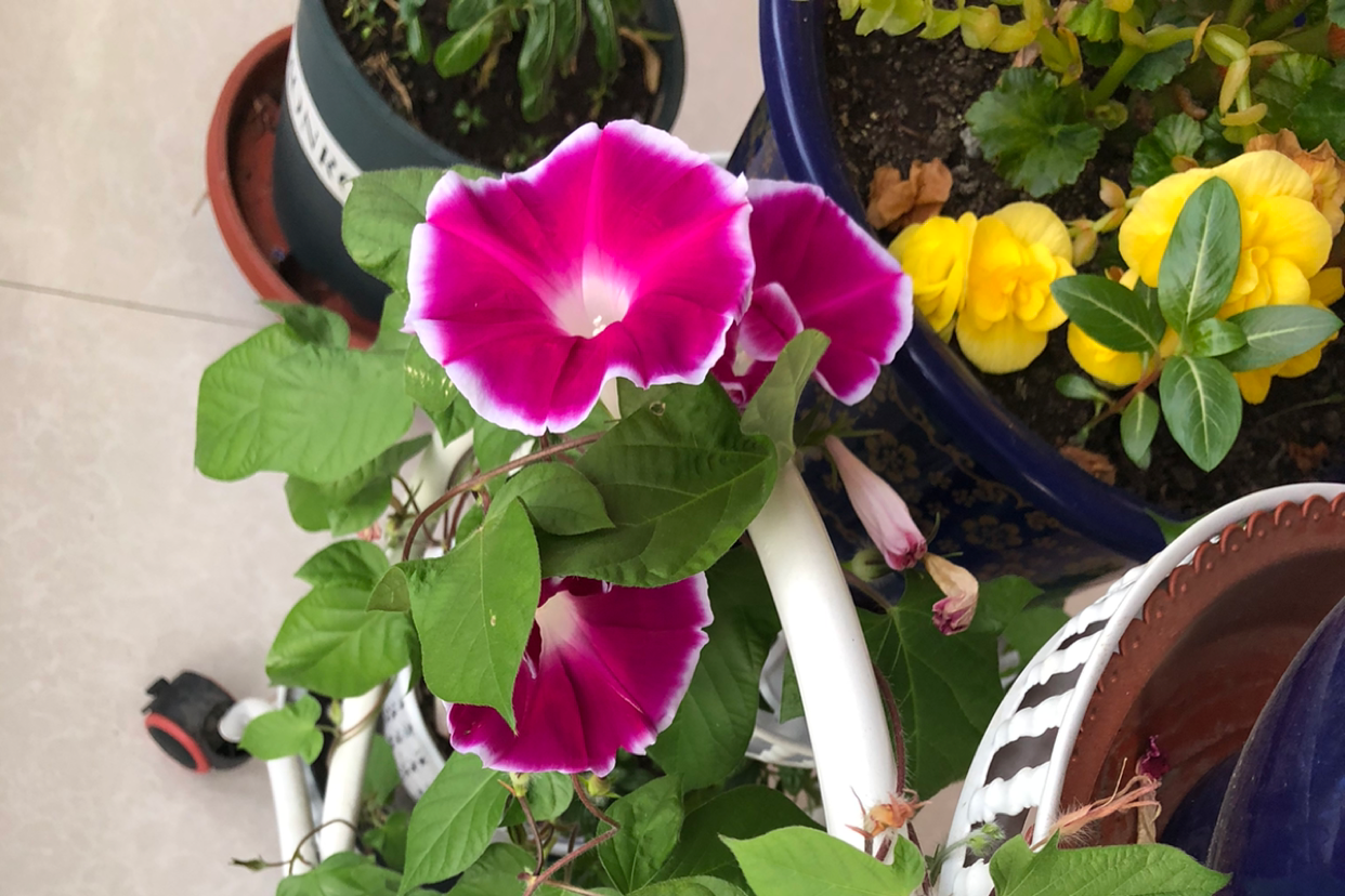 幸福的本源：建立属于自己的人生主权