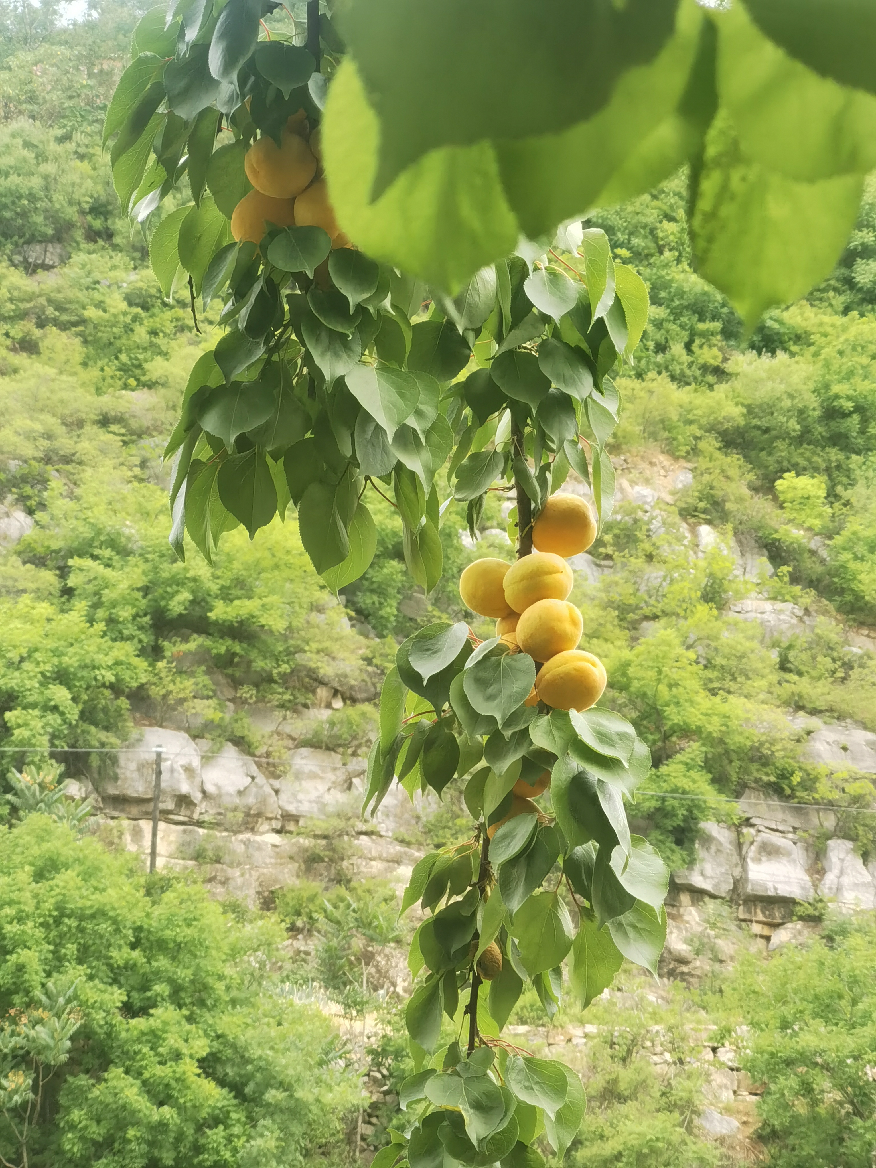 高考后学生的心理健康不容忽视