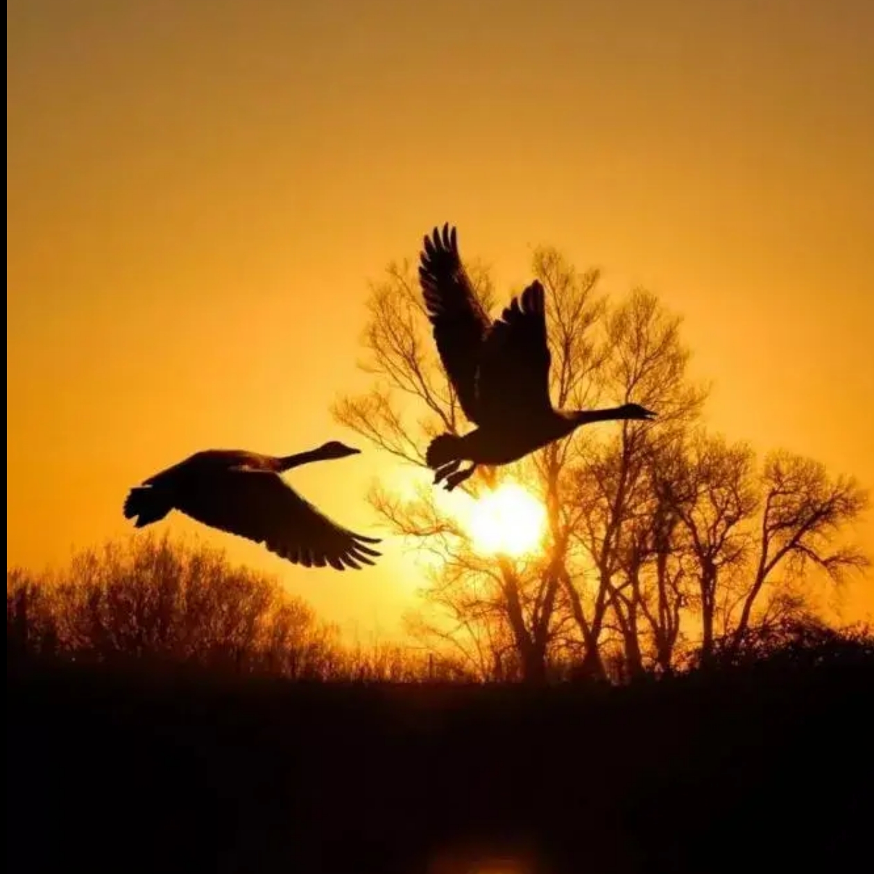 “皮格马利翁”效应帮她考上重点高中