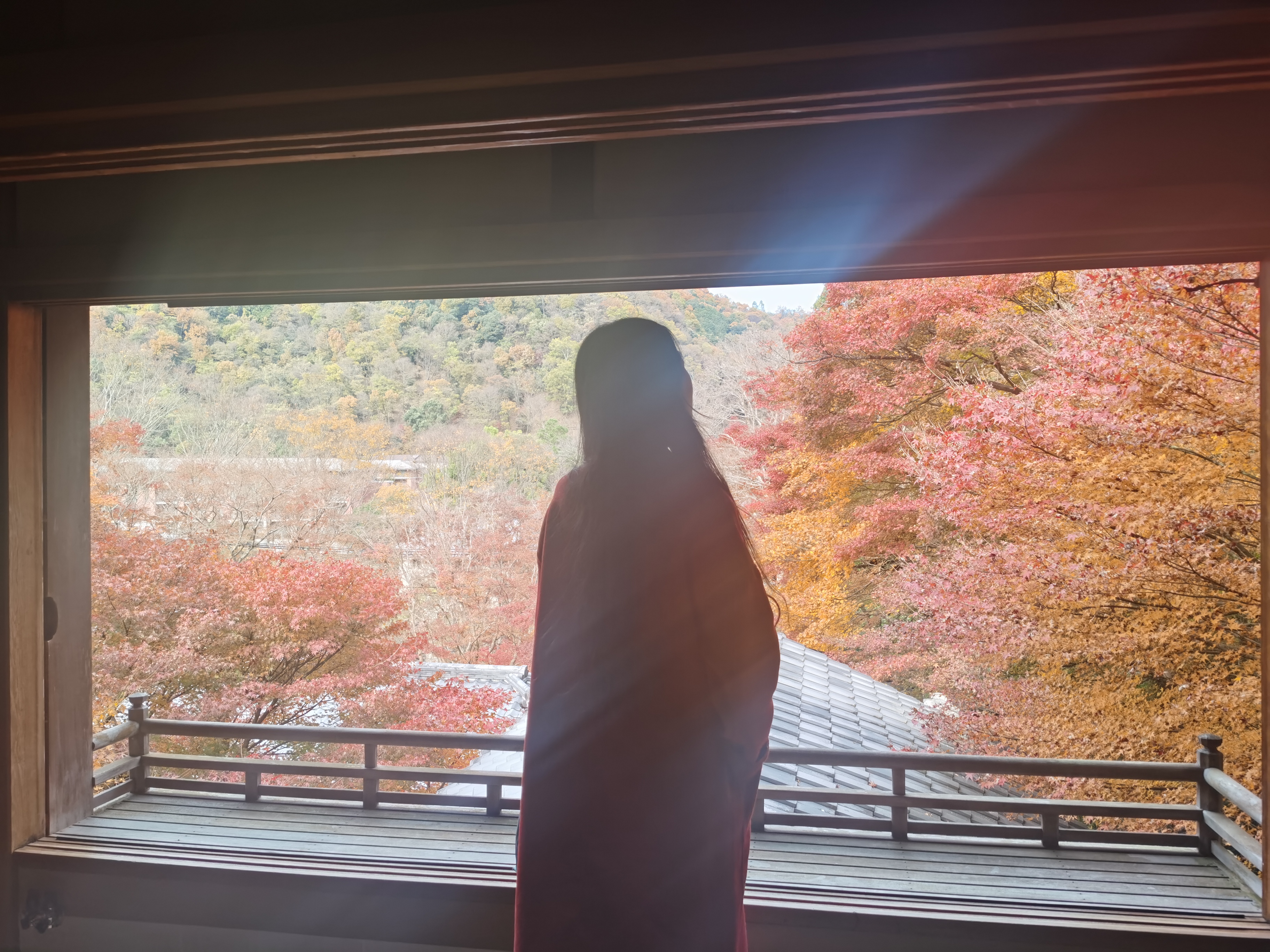 走出情感迷雾：分手后心理重建的24个科学行动