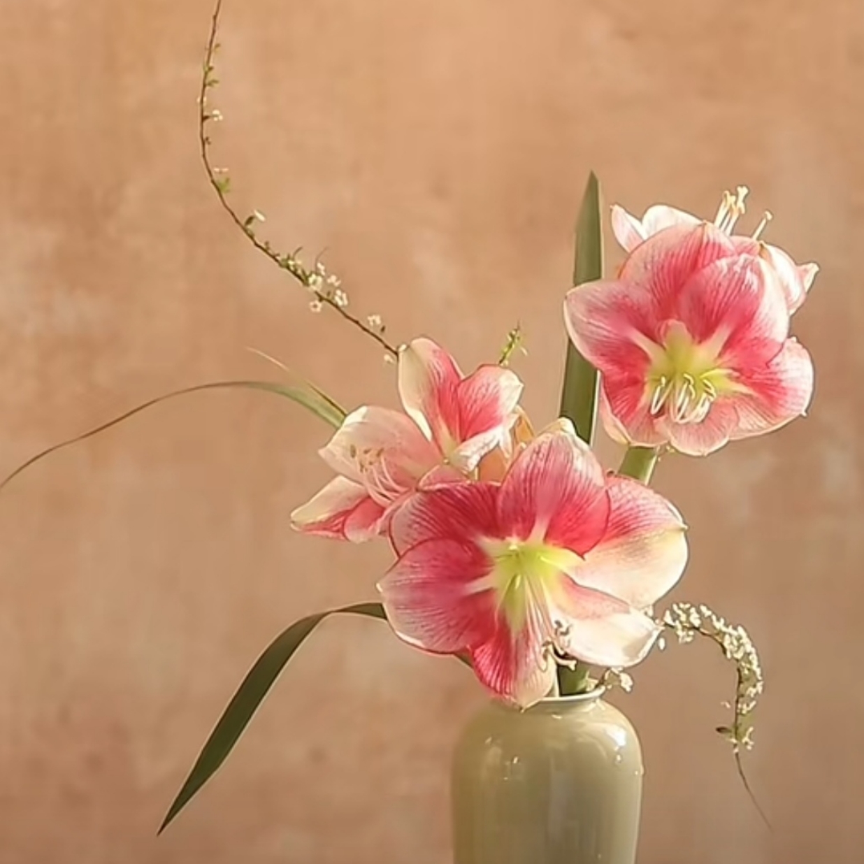 大龄女性的择偶心理：打破标签，重塑幸福主动权  