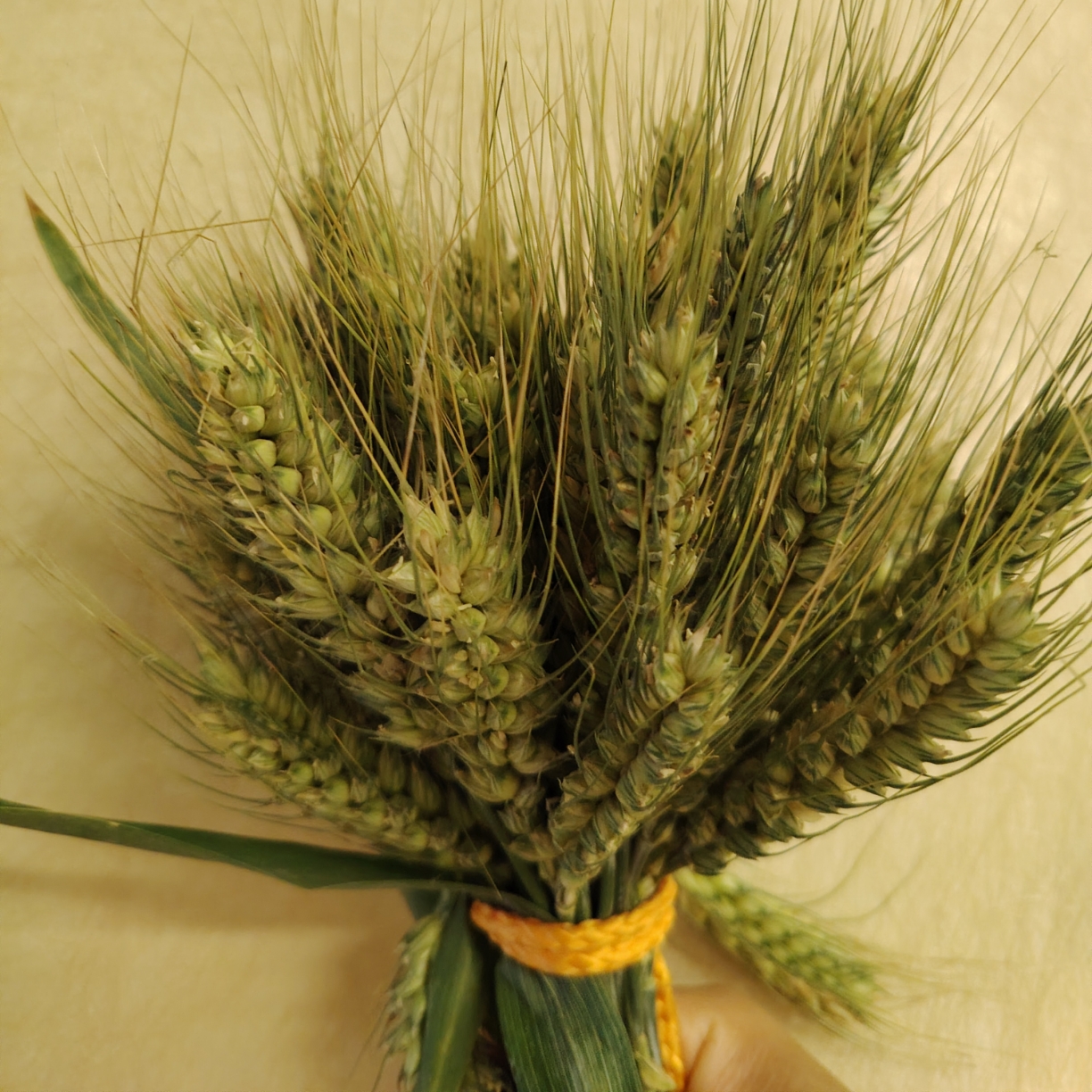 如果人生重来一遍，我们真的会做出更明智的选择吗？