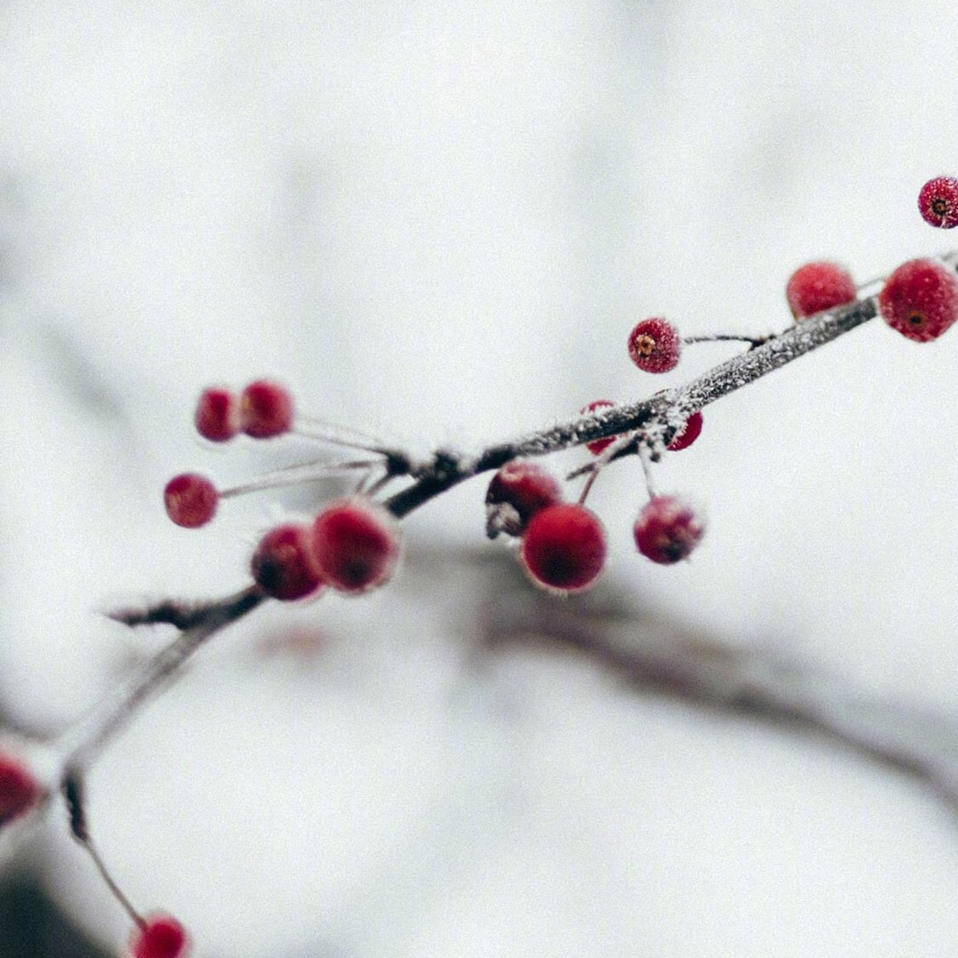 疗愈内在小孩：点亮心灵的成长之光
 
