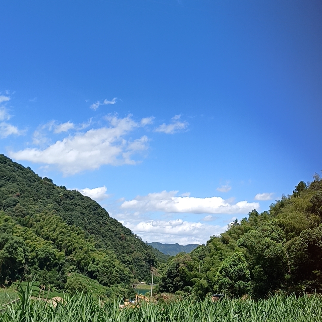 爱———是一种无碍爱