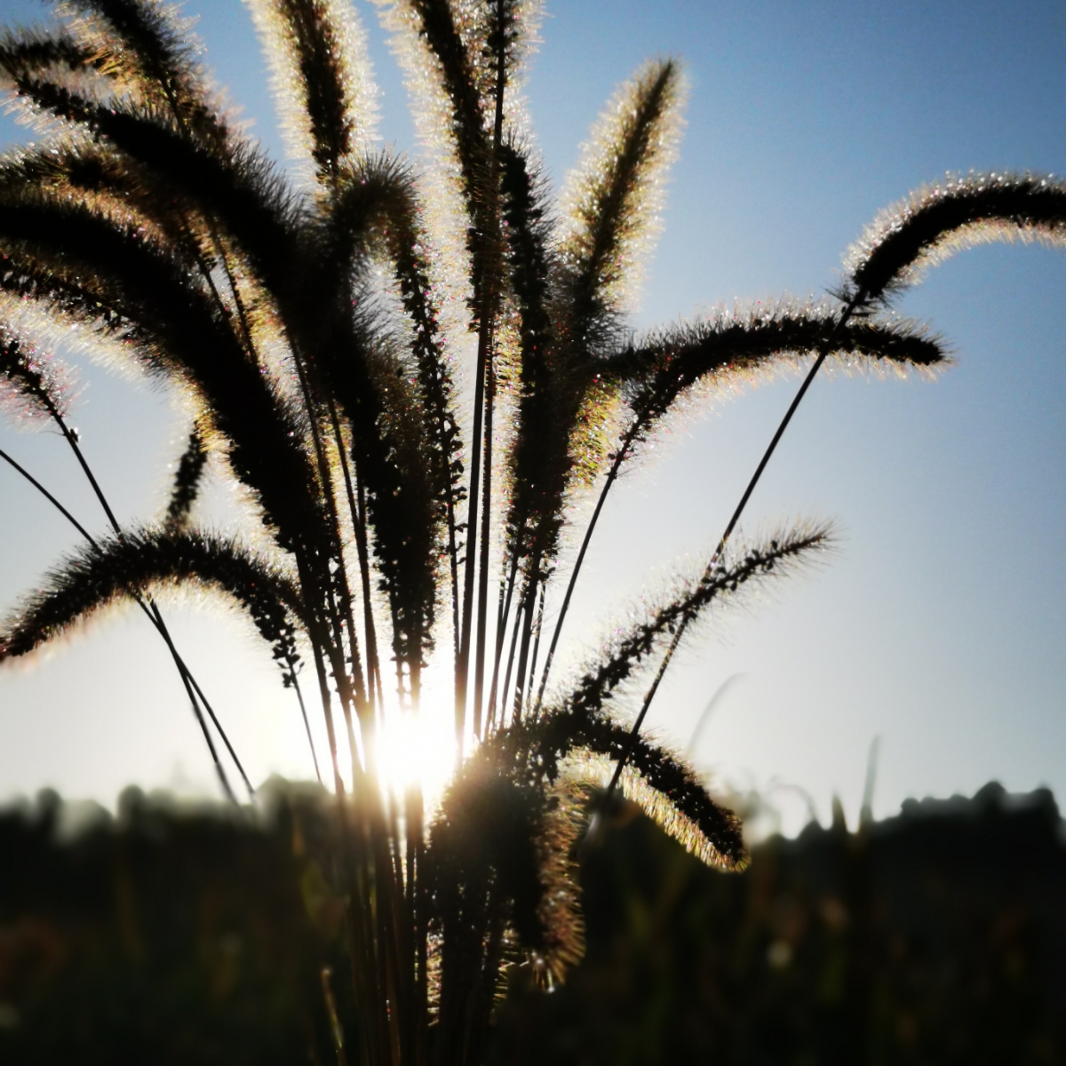 精神：认知活动的内核与光芒