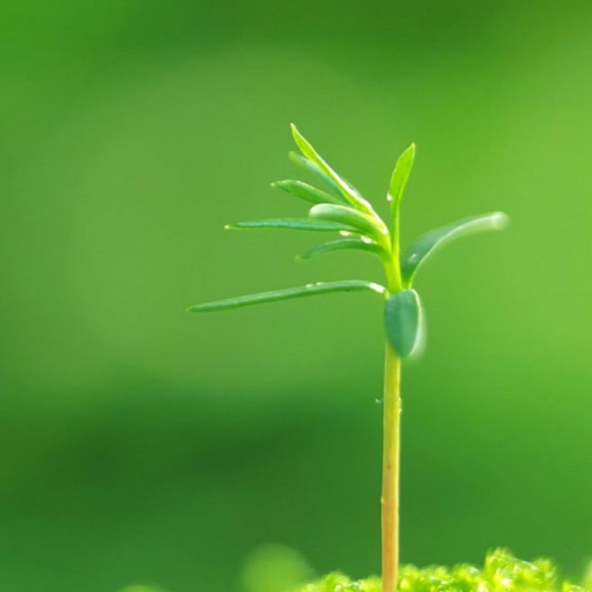 生命心路的季节叙事