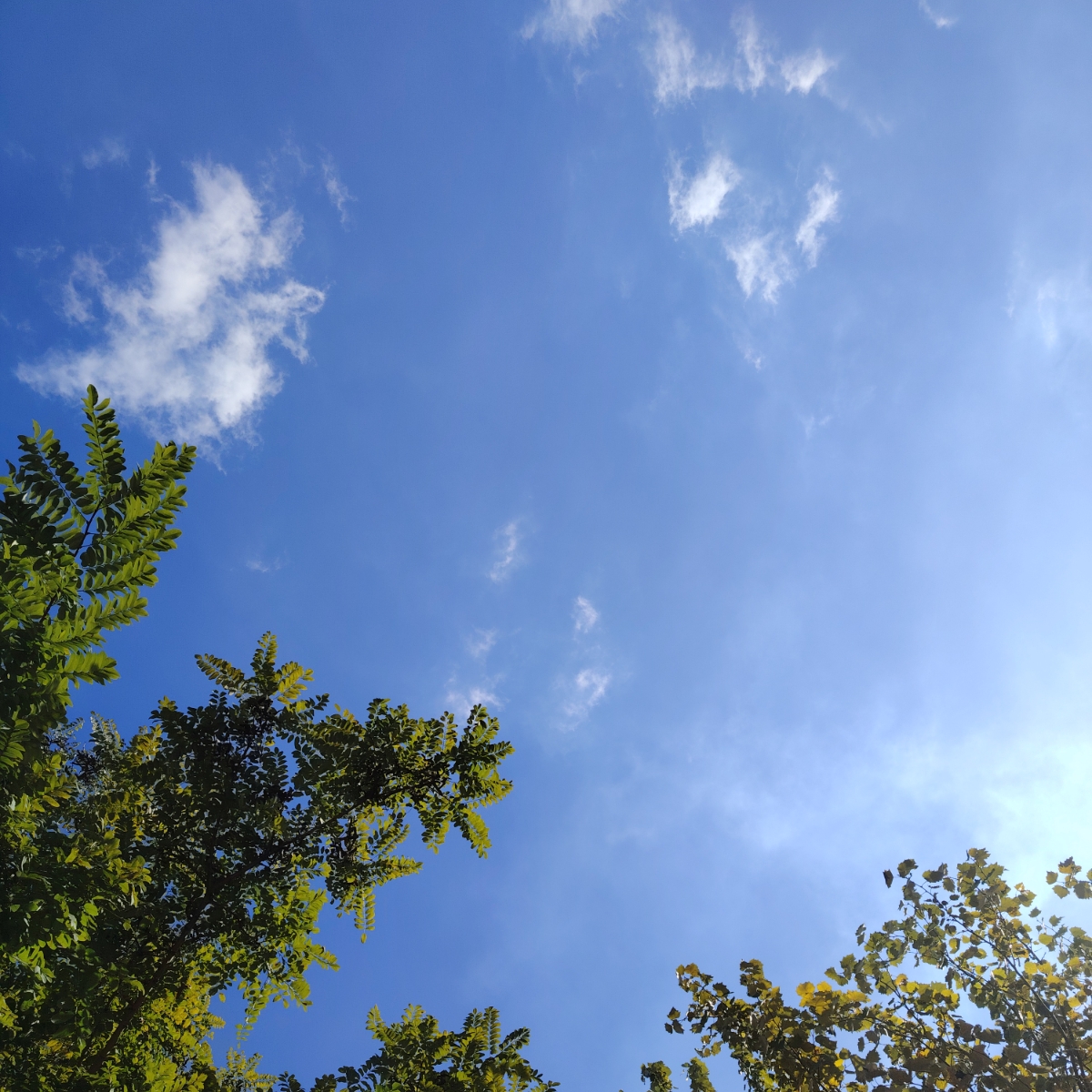 大宋开国人物心路对心理咨询的启示：从历史智慧看咨询实践进阶