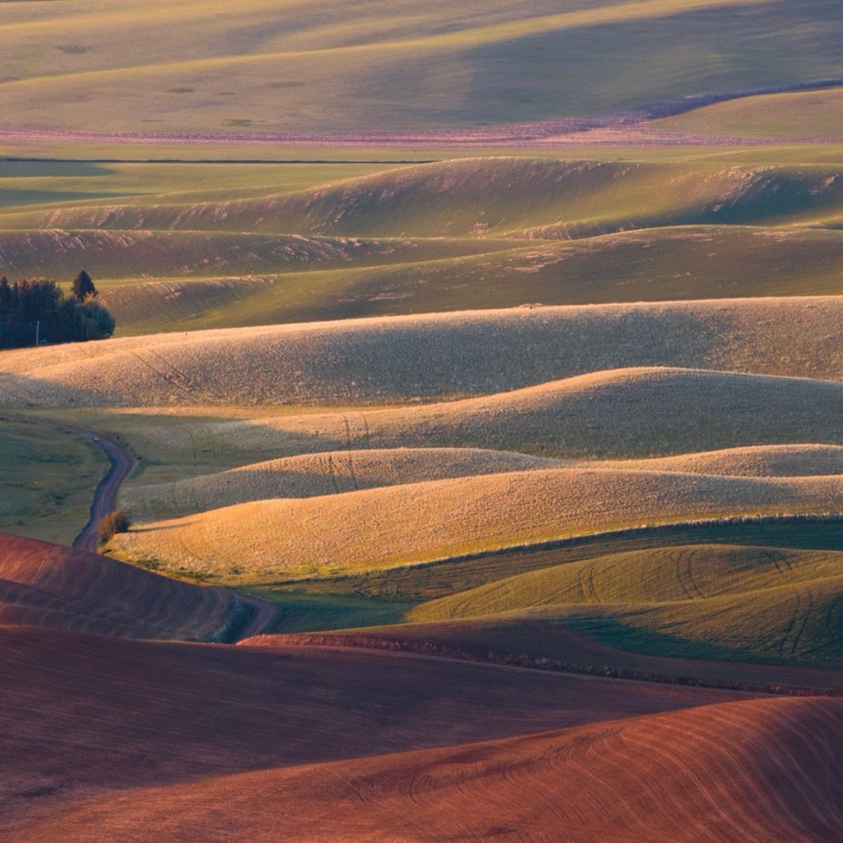 当心理咨询走进日常