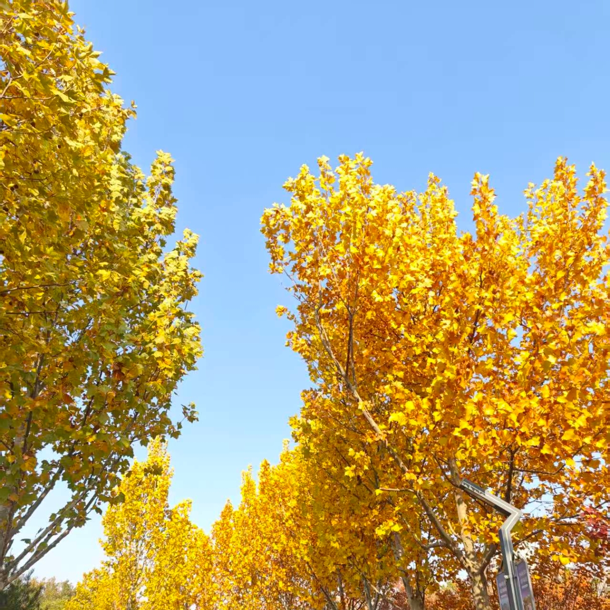 给来访的一封信-如何选择咨询师