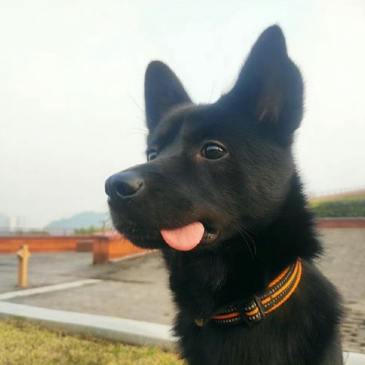 为什么我们常说“要爱自己”