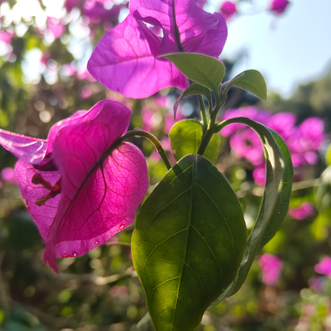 心理咨询到底可以帮到我们什么？