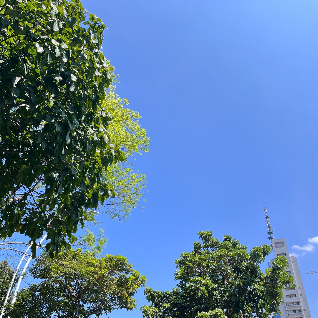 一个被逼婚女性的悲哀