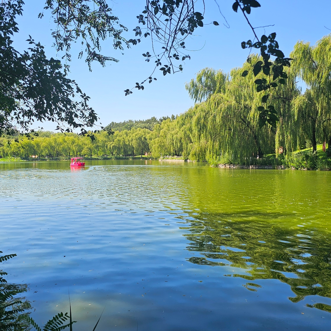 当我被攻击时，我是如何应对的？