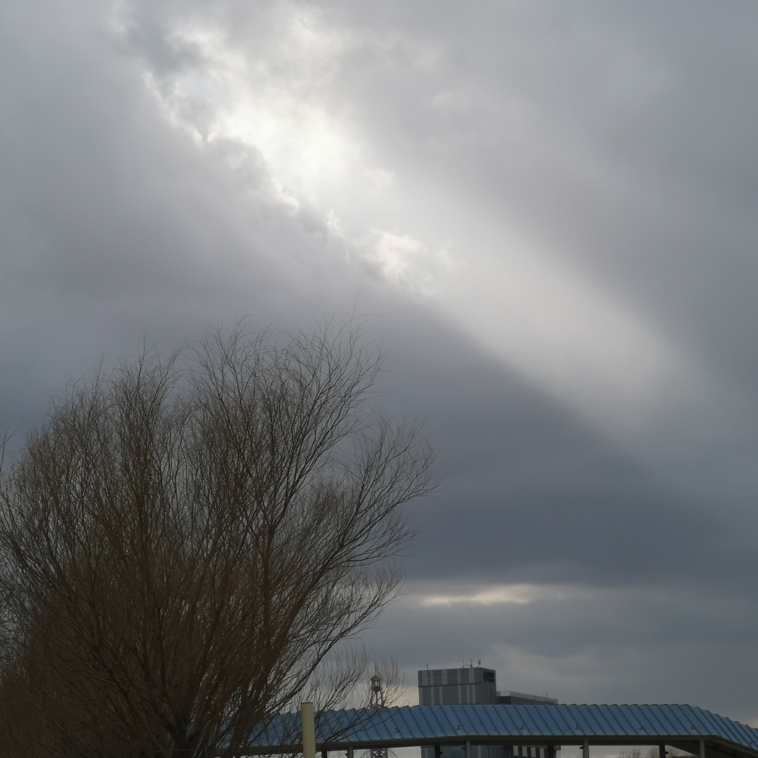 内疚的心灵囚笼：《日掛中天》美云的道德创伤与救赎幻灭