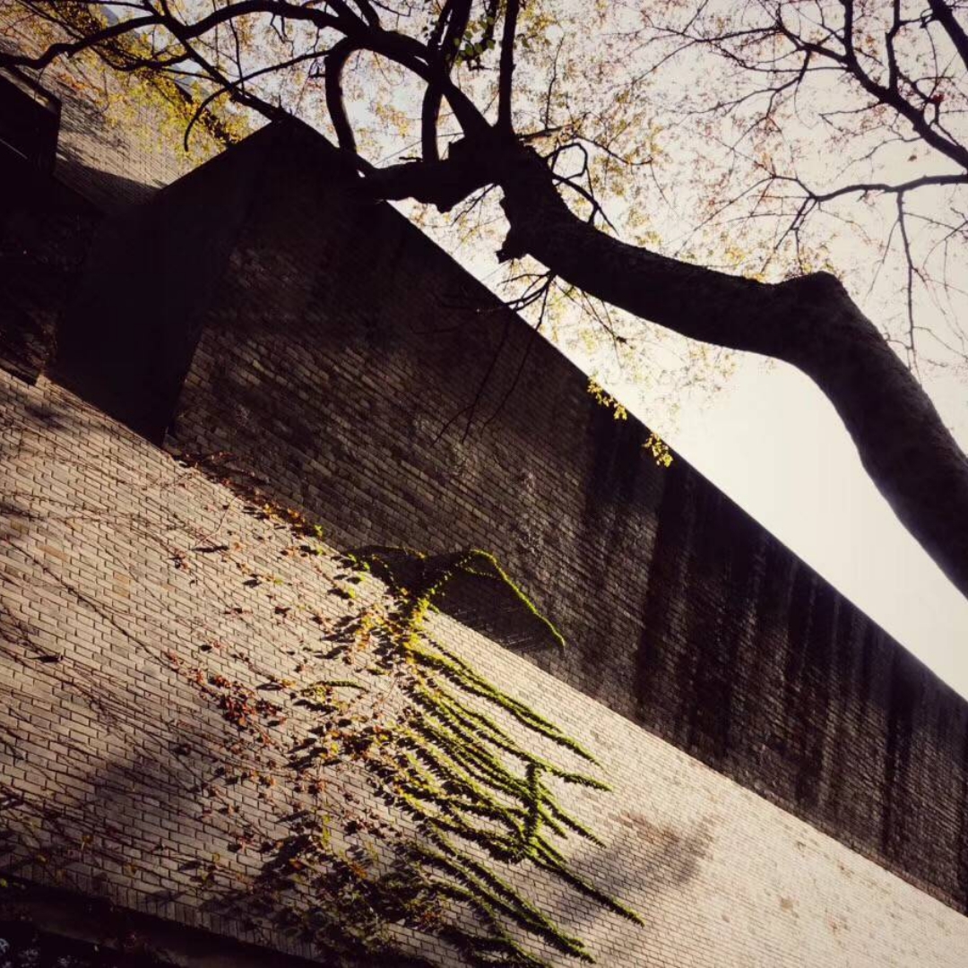 我的身体和情感，象岩石和钢铁一般的存在！