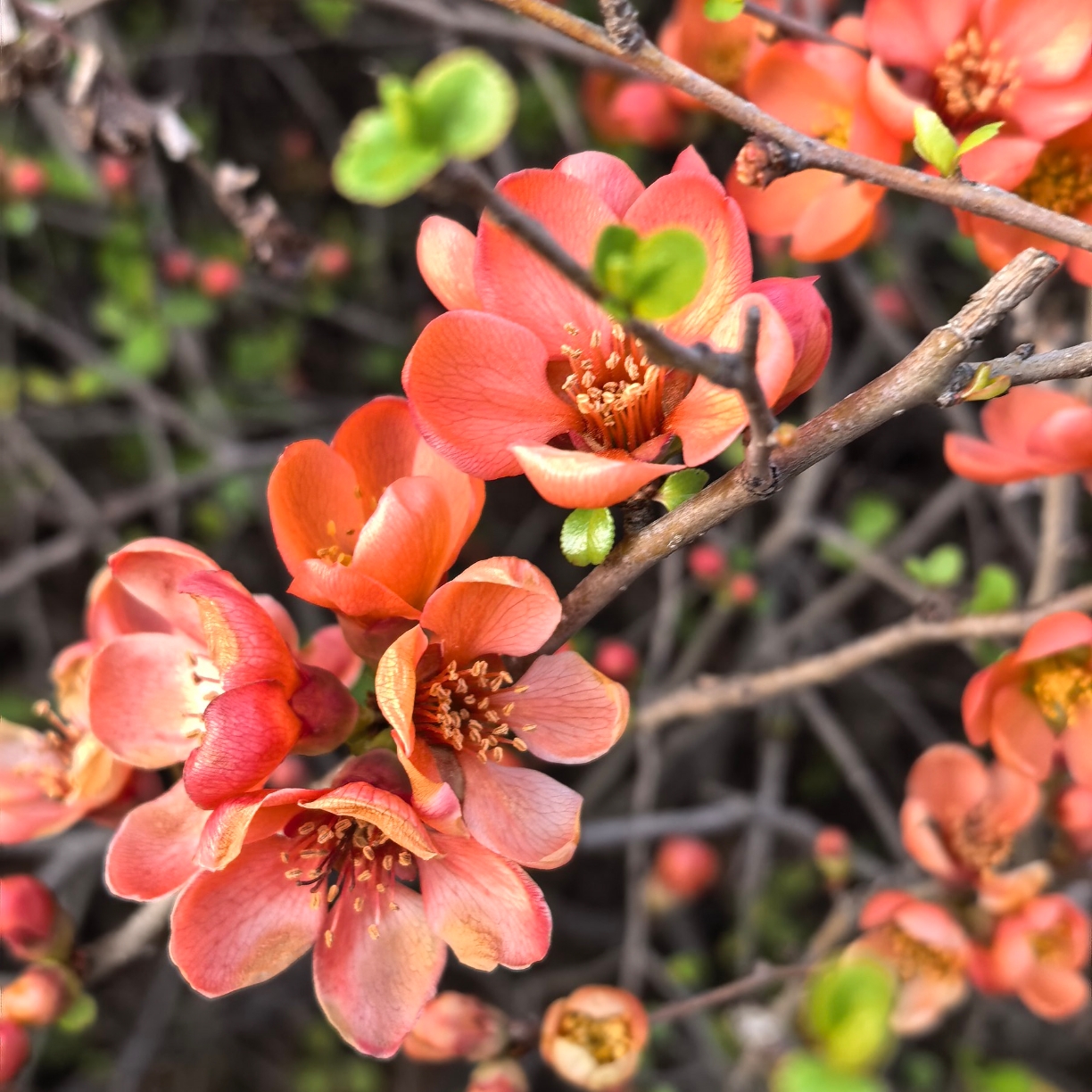 我的职业生涯中最刺的痛