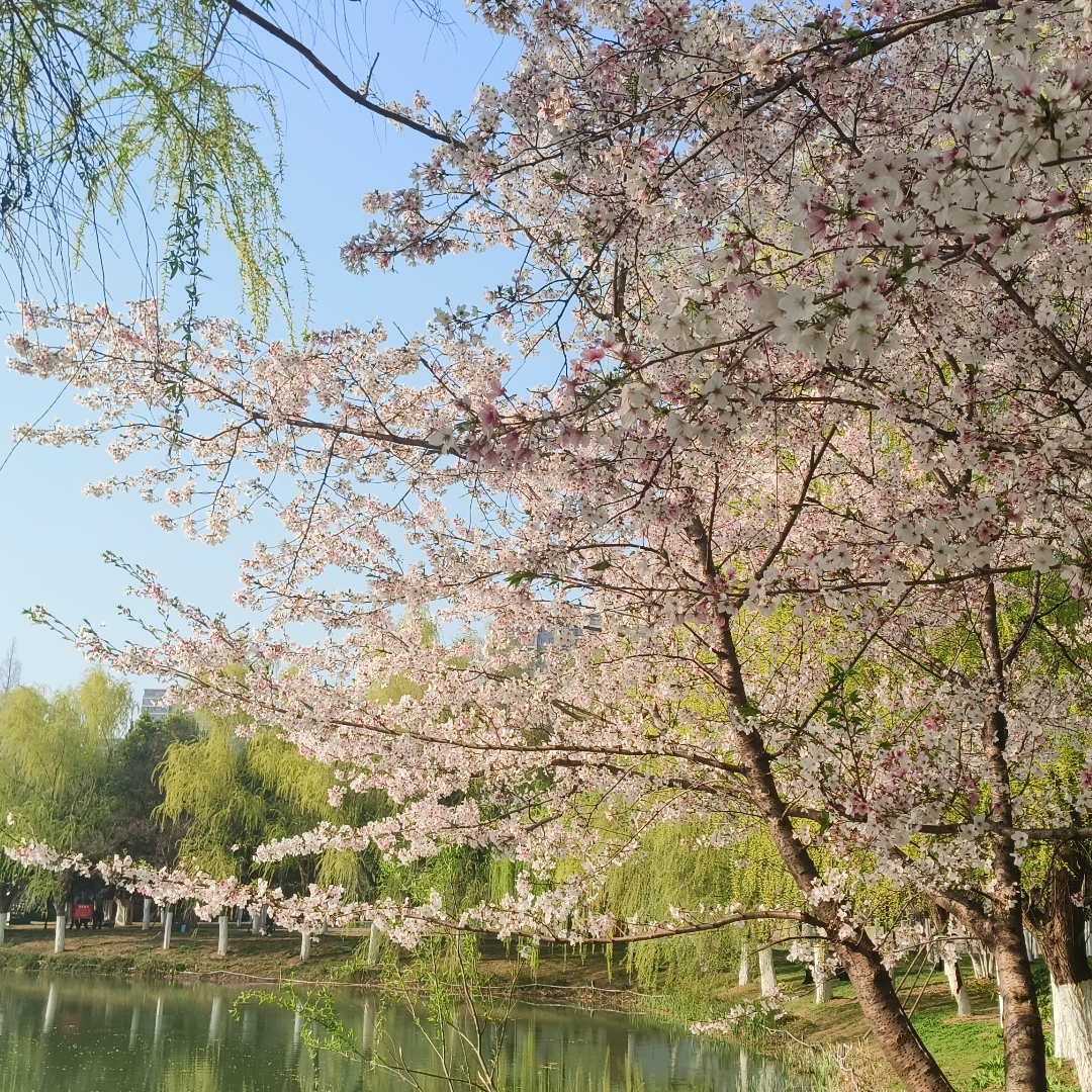 你为何总是停不下来