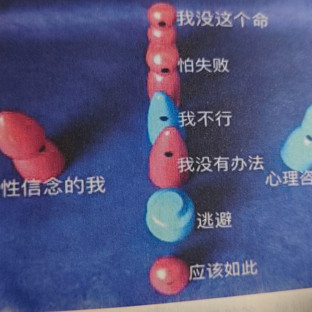 别让“应该论”困住你：放过执念，才是生活的开始