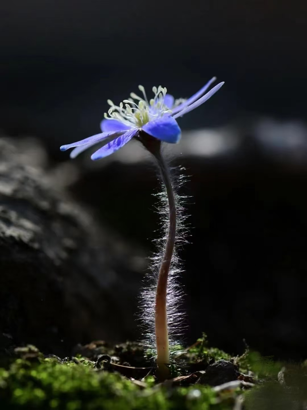 不要让“原生家庭问题”成为拒绝成长的借口