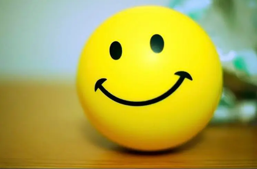 幸福不止快乐一种