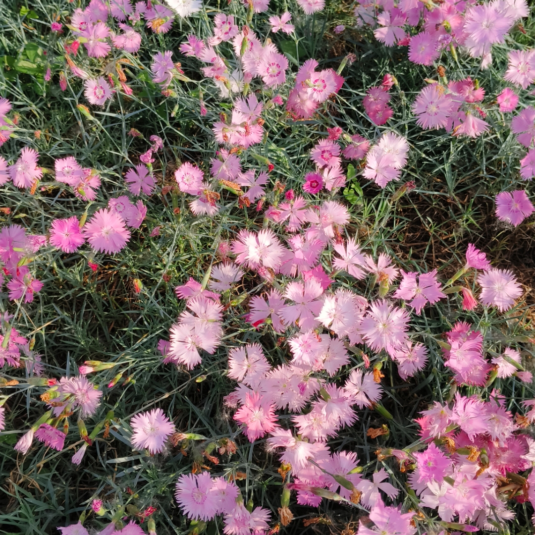 敏感不是缺点